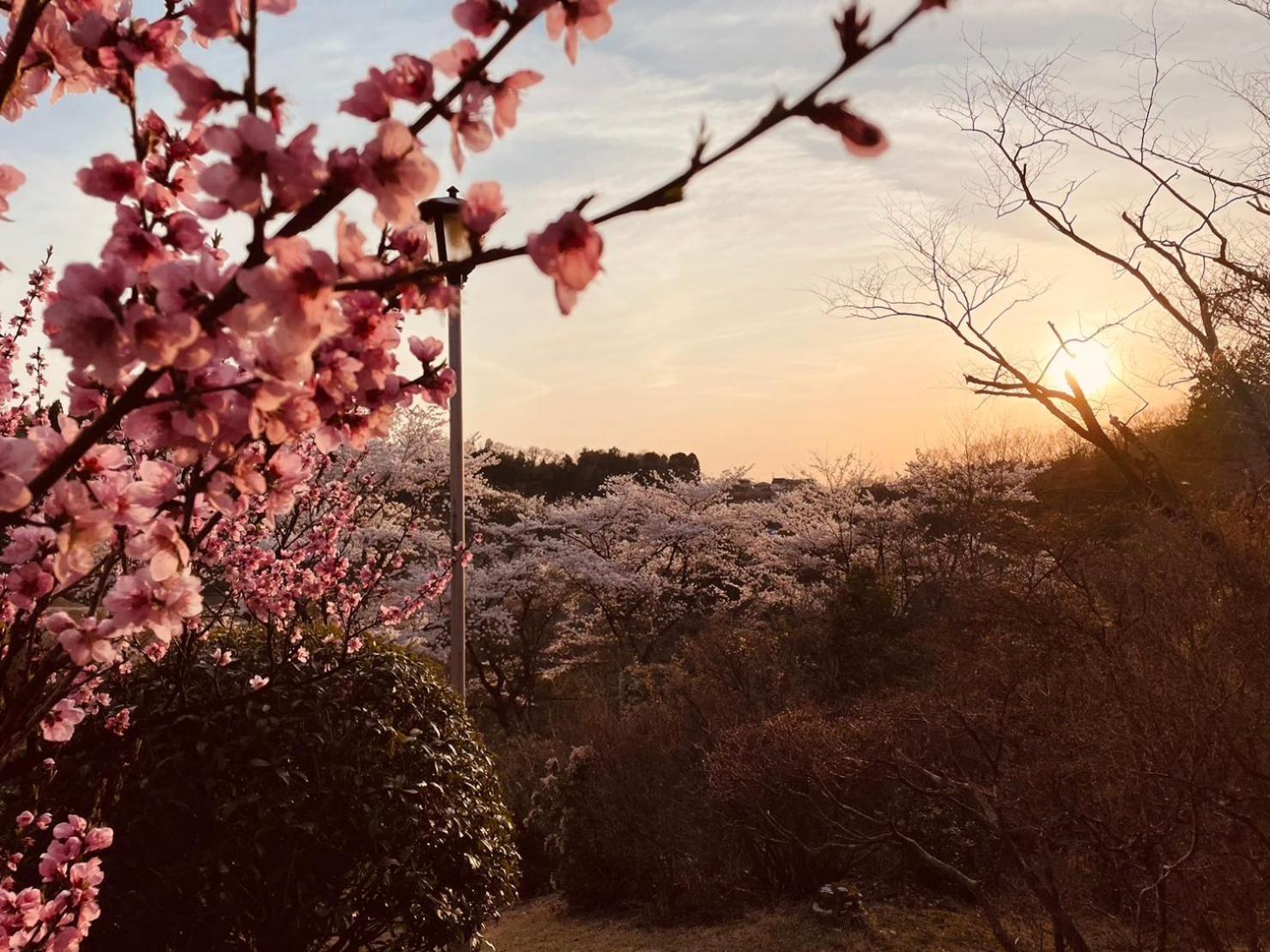 Granping ng が mi no Du Hotel Nakatsugawa Buitenkant foto