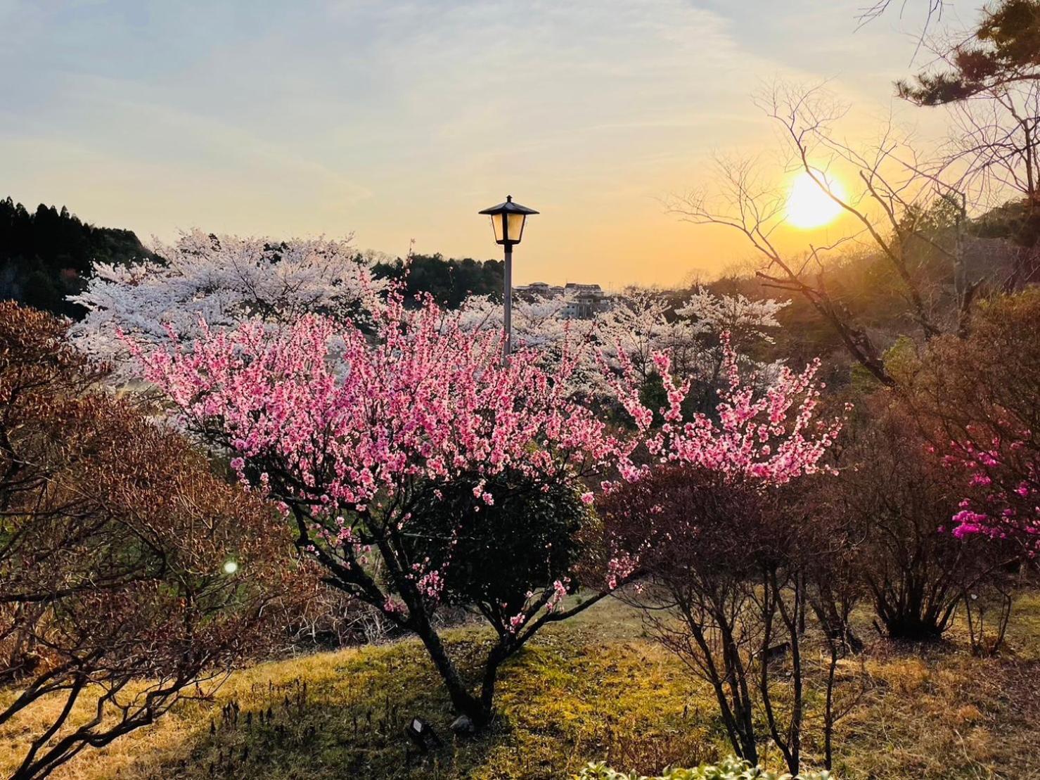 Granping ng が mi no Du Hotel Nakatsugawa Buitenkant foto